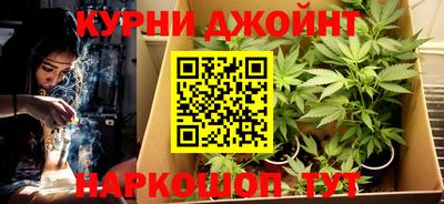 каннабис Кудрово