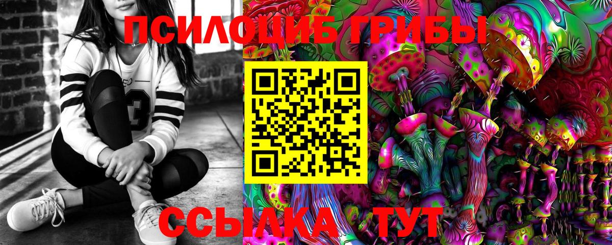 Бийск  Псилоцибиновые грибы Psilocybe  Вход с VPN  Галлюциногенные грибы Magic Shrooms 