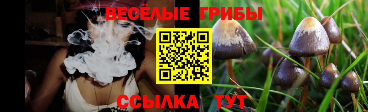 Псилоцибиновые грибы ЛСД Бийск