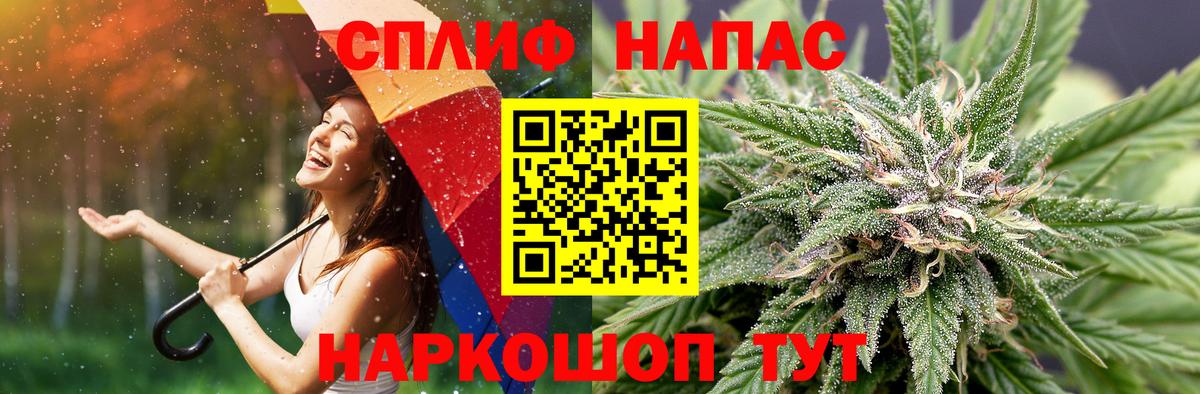 Бошки марихуана семена  Каннабис гибрид  Бийск  Шишки марихуана SATIVA & INDICA  Вход с VPN  Каннабис THC 21% 